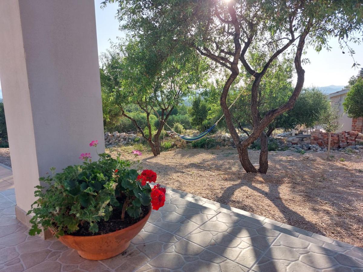 Willa Olive Garden House Szybenik Zewnętrze zdjęcie